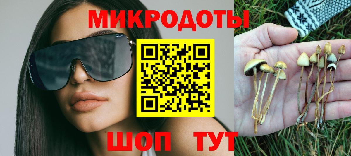 Псилоцибиновые грибы MAGIC MUSHROOMS  Вход с VPN  Шебекино 