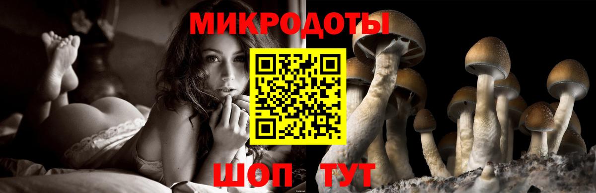 Галлюциногенные грибы прущие грибы Шебекино